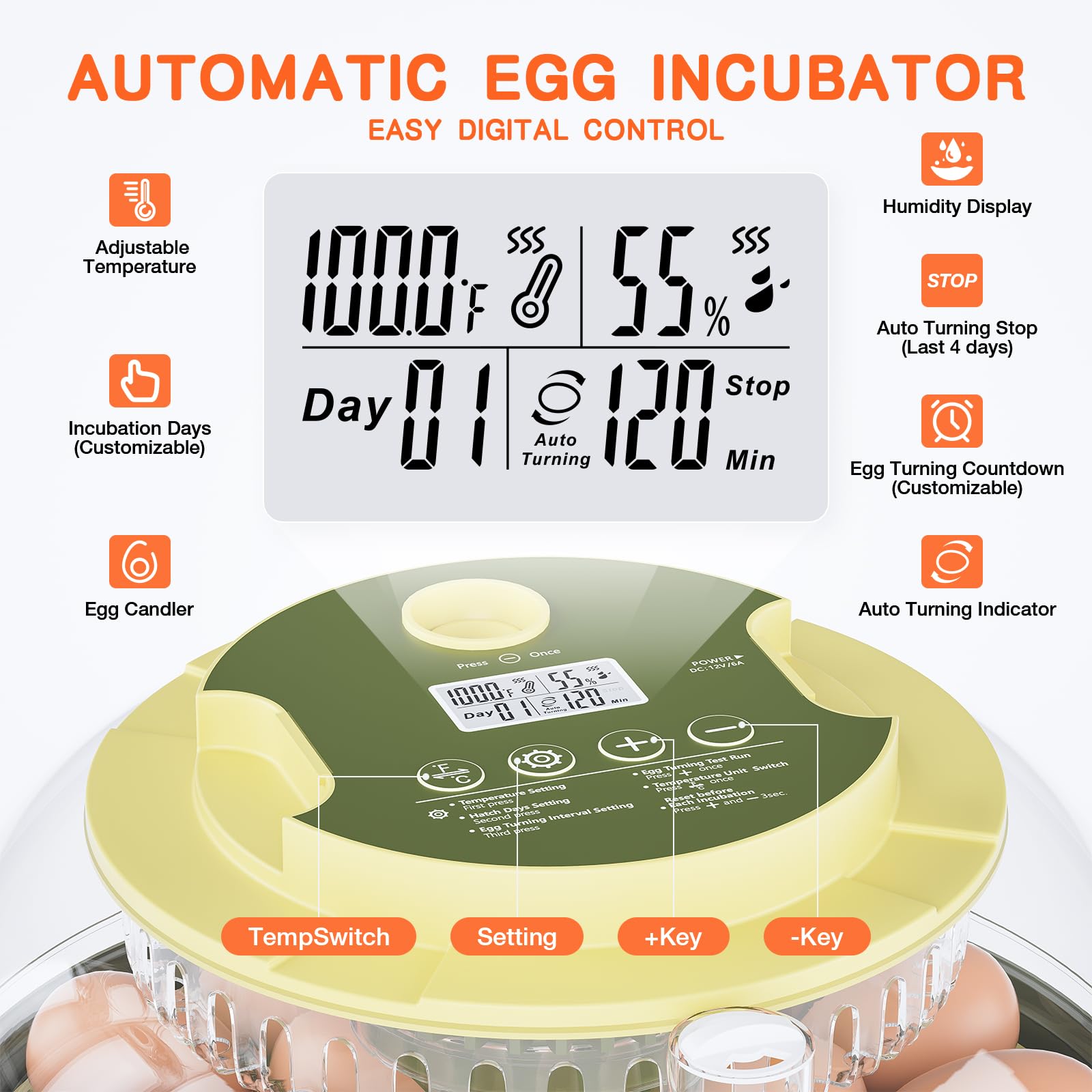 Etegow 18 Egg Incubator top view showing 360-degree airflow for even conditions.