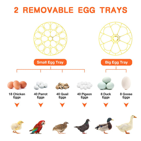 Etegow external water refill system supports steady humidity during hatch.