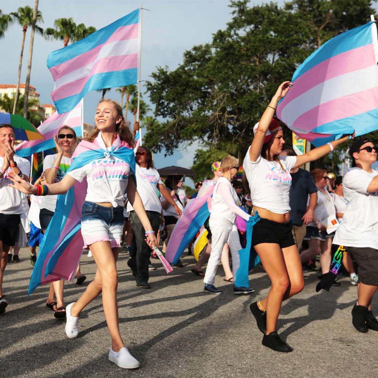 ETHOON Trans Pride Flag wall display for classroom, office, or home decor.