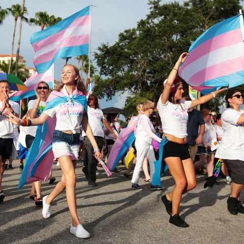 ETHOON Trans Pride Flag wall display for classroom, office, or home decor.