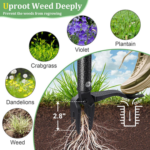 ETICSIPA deep jaw removes dandelions and thistles without disturbing nearby plants