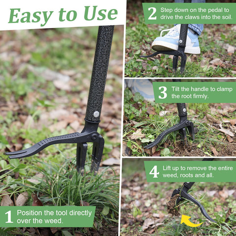 ETICSIPA weed puller disassembles quickly for compact storage after gardening