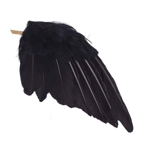 Etistta 2-pack crow set offers versatile indoor outdoor display options