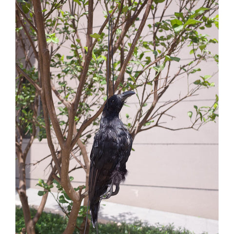 Etistta crow decoy lifelike black silhouette enhances landscape realism.