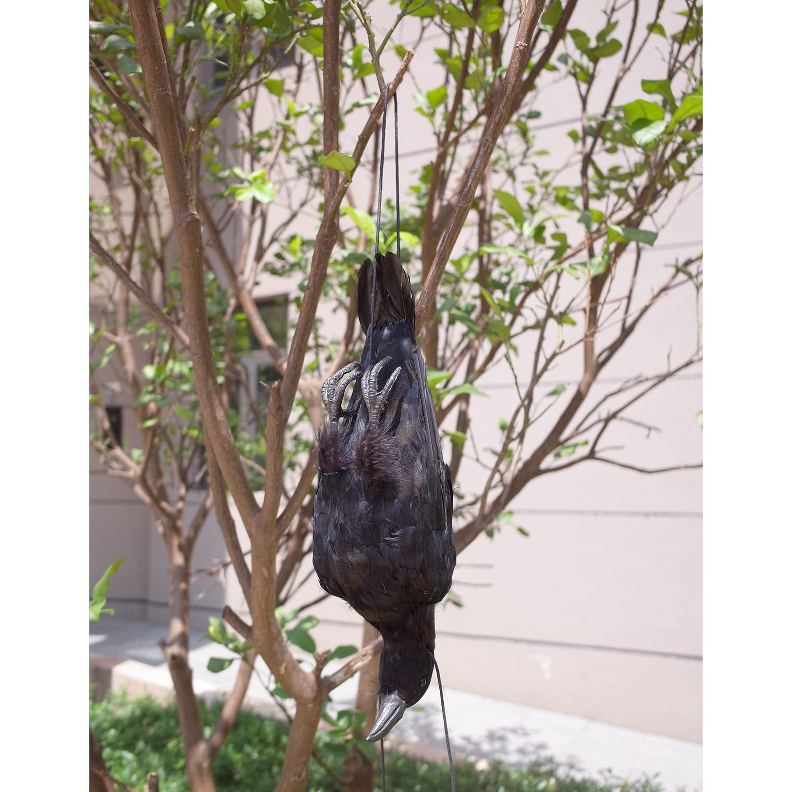 Etistta crow decoy installed outdoors in a garden setting.