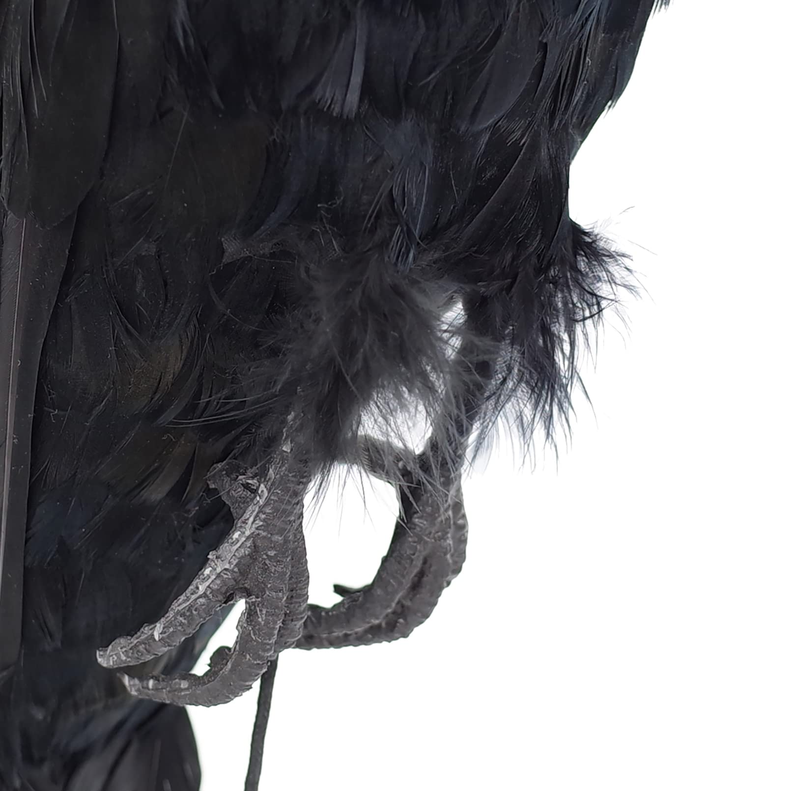 Etistta crow decoy with two ropes for versatile outdoor hanging options.