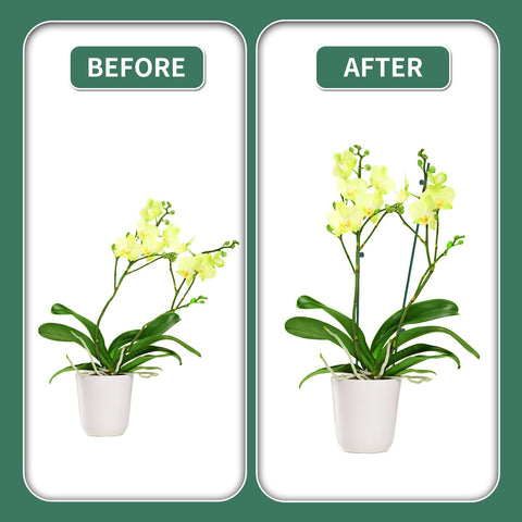 Etnorsu easy-insert stake for pots simplifies vertical growth.