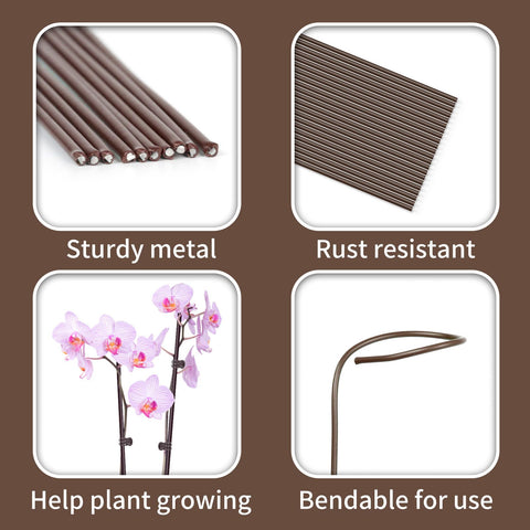 Etnorsu flexible plant-support secures rising stems during growth.
