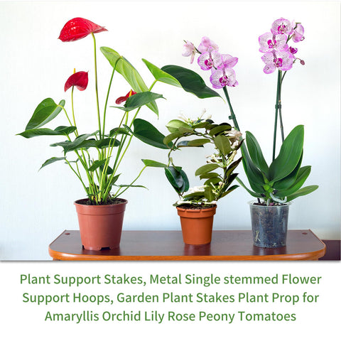 Etnorsu garden stakes ideal for indoor and outdoor use in pots.