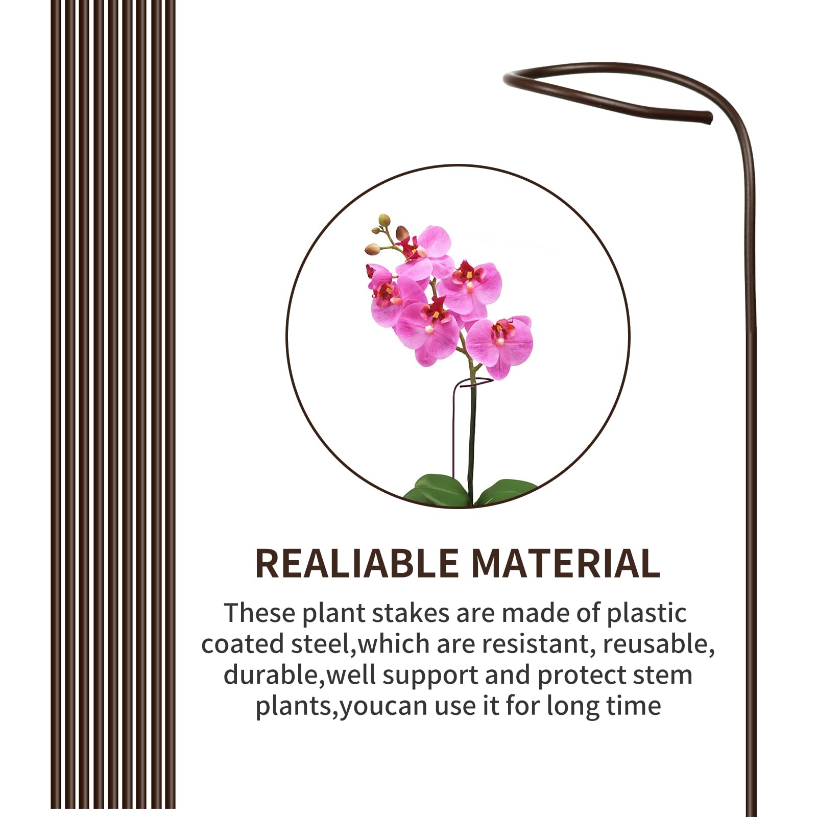 Etnorsu 15-piece plant clips keep rhizomes and stems fixed firmly.