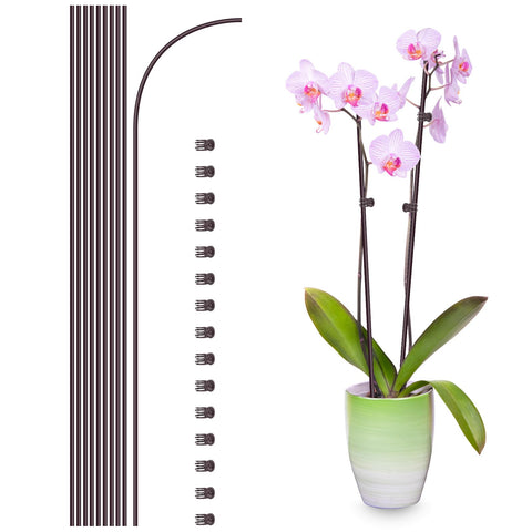 Etnorsu 16-inch bendable plant stake in brown supports stems discreetly.