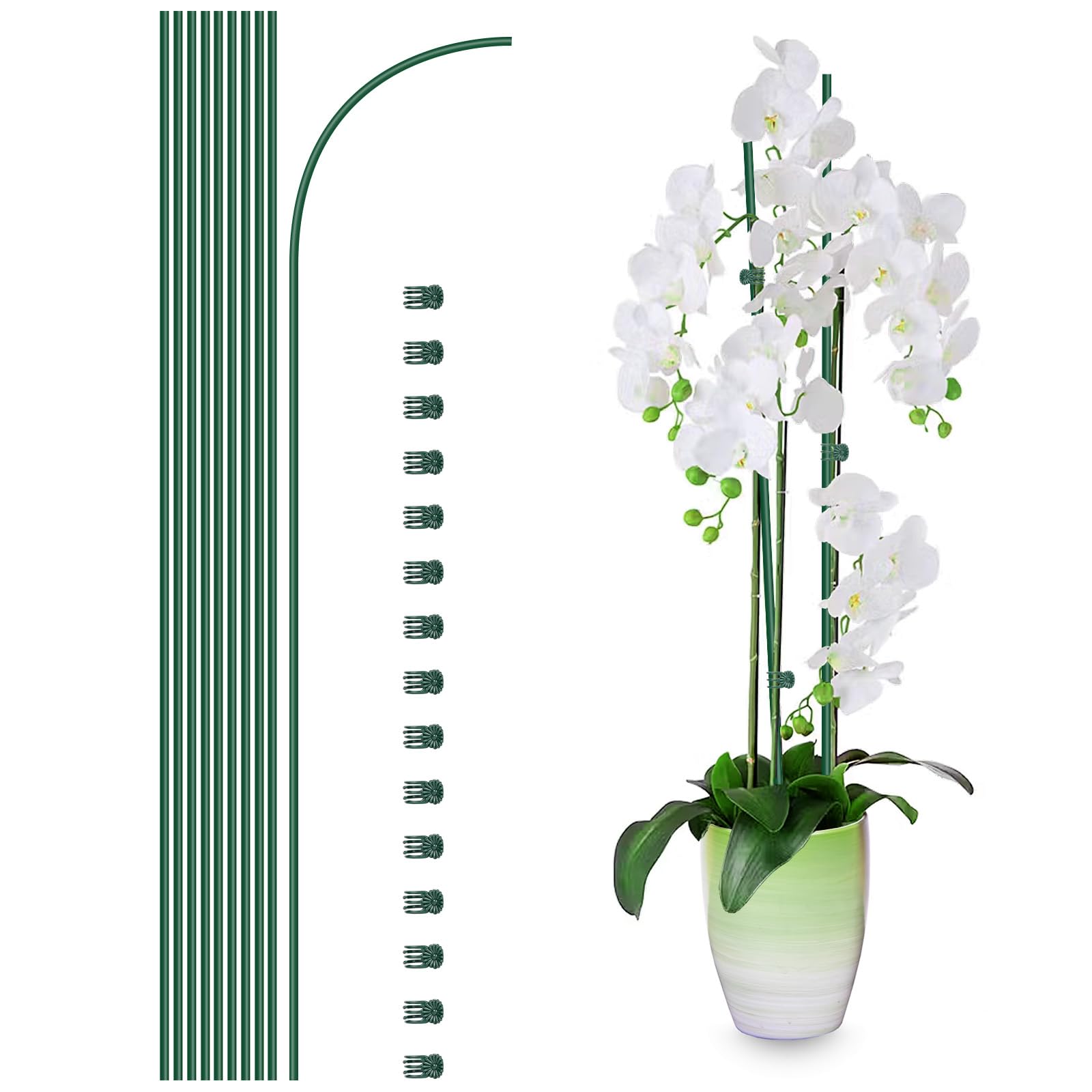 Etnorsu plant stake 16inch green supports indoor and outdoor plants gracefully.