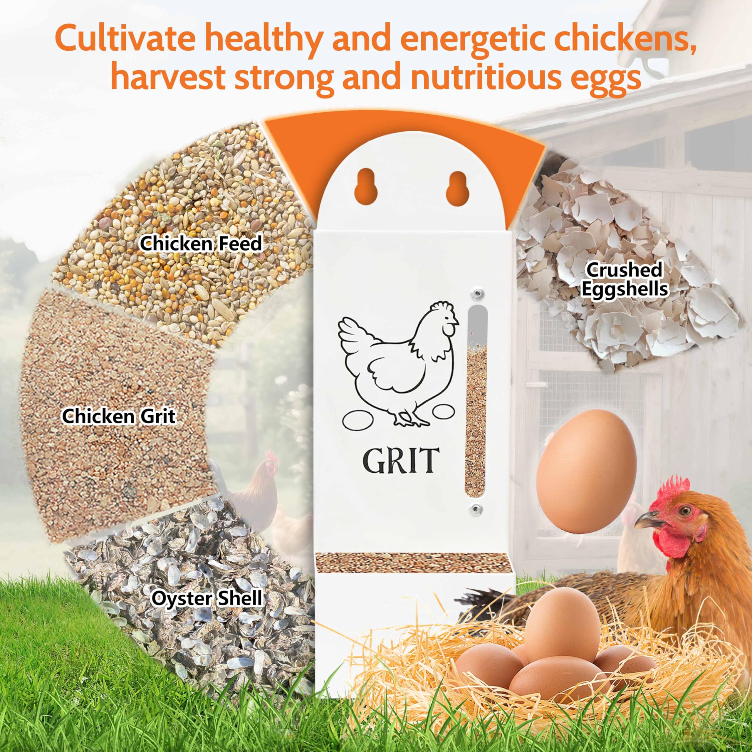 ETSSXYSO dual-pack coop feeder supports grit, oyster shell and mixed feeds.