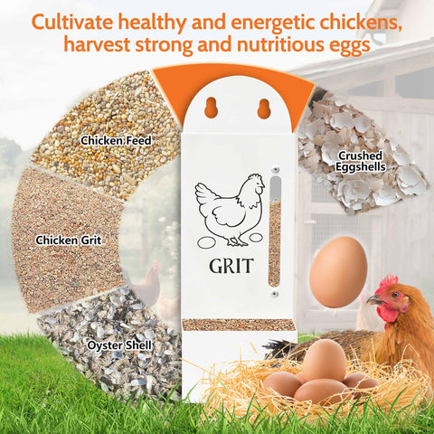 ETSSXYSO dual-pack coop feeder supports grit, oyster shell and mixed feeds.