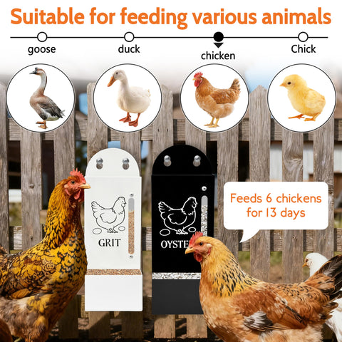 ETSSXYSO high-capacity 5lb feeder reduces refills for six hens.