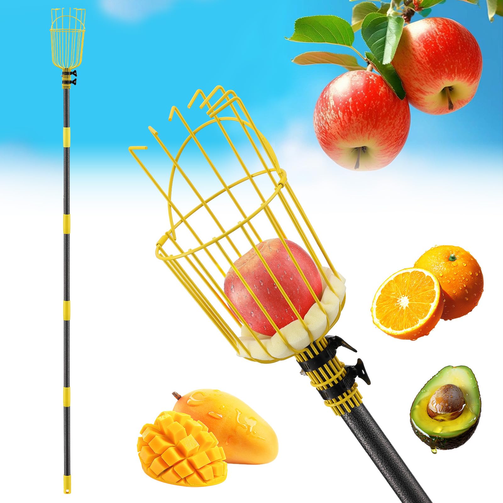 EUIJOIP fruit picker pole tool with 35-75 inch adjustable length for stand-up harvesting.