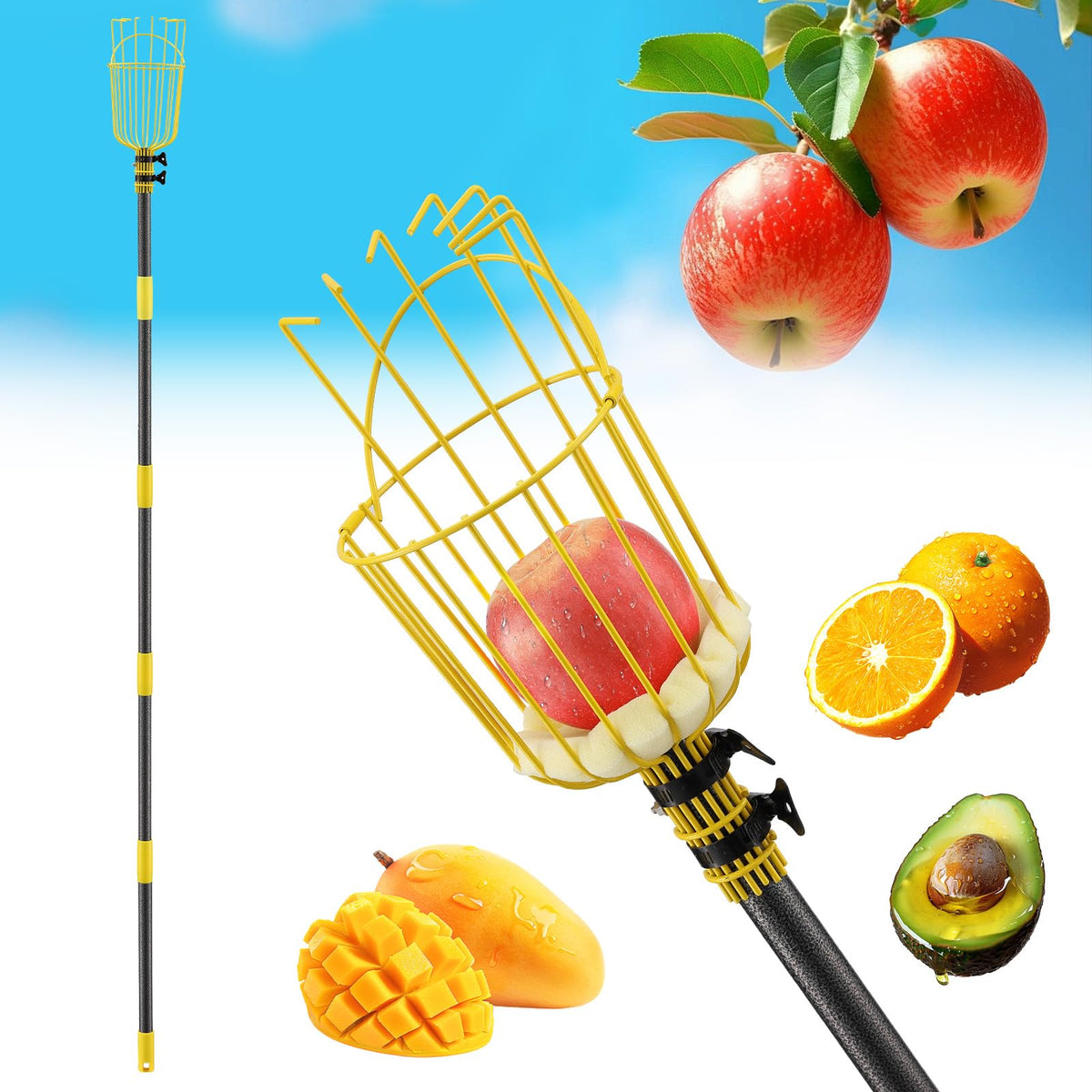 EUIJOIP fruit picker pole tool with 35-75 inch adjustable length for stand-up harvesting.