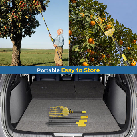 EUIJOIP year-round harvesting fun supports family involvement in spring citrus and fall harvests.