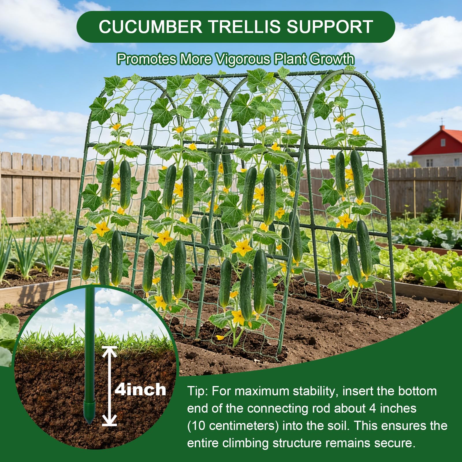 Eunice heavy-duty rust-proof coating protects garden trellis