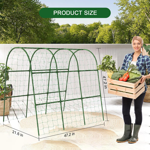 Eunice U-Shape Trellis setup shown with tool-free assembly