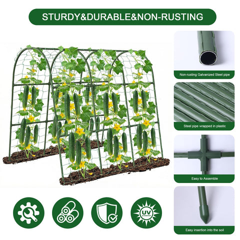 Eunice vertical gardening arch trellis in a compact outdoor space