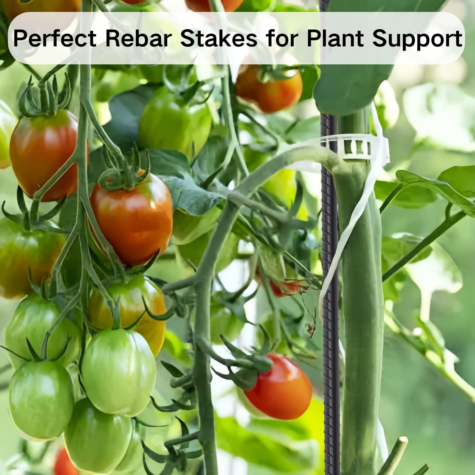 EUOKOK multi-use garden stakes secure trees, vines, and garden structures.