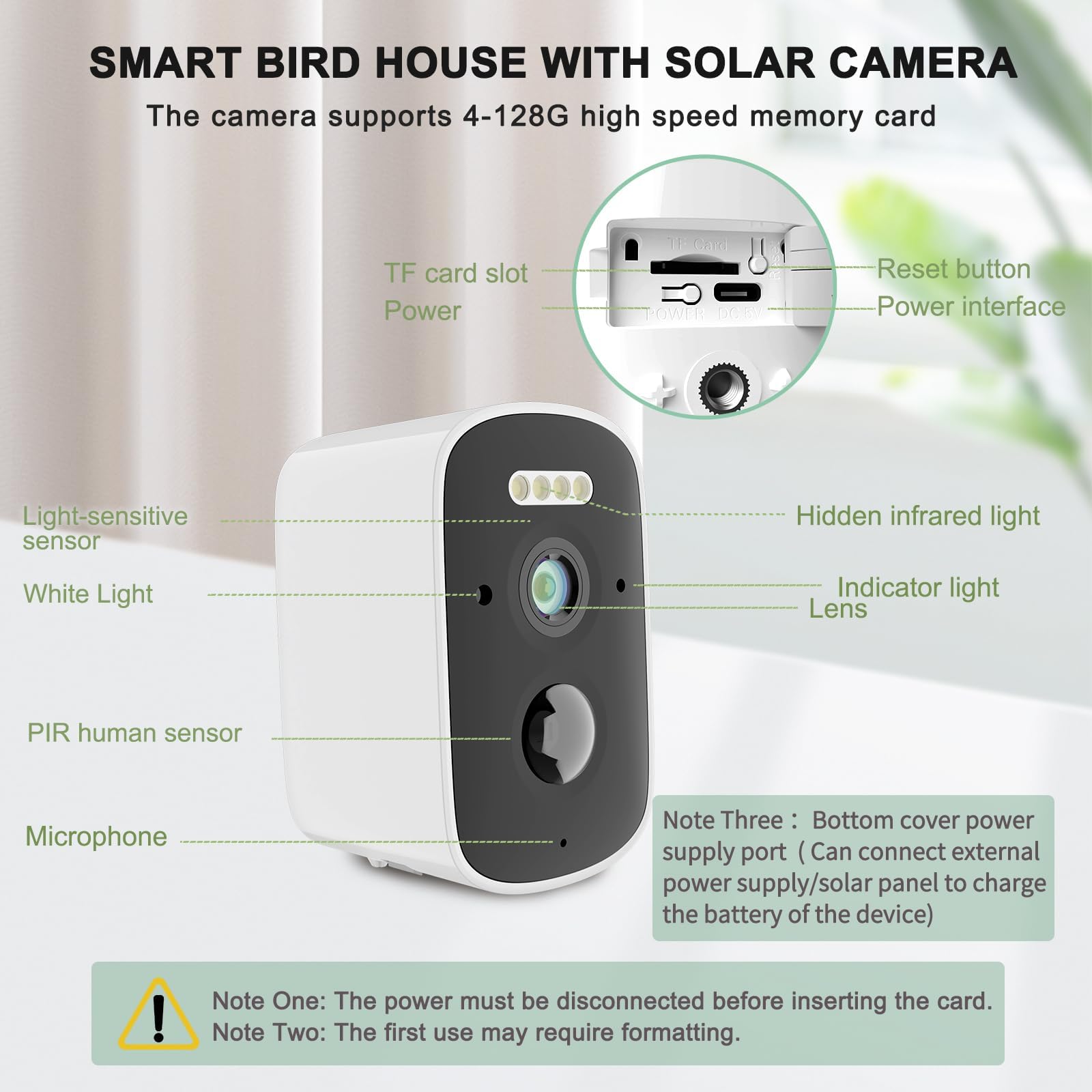 Euphoricca app control for live viewing of the bird house