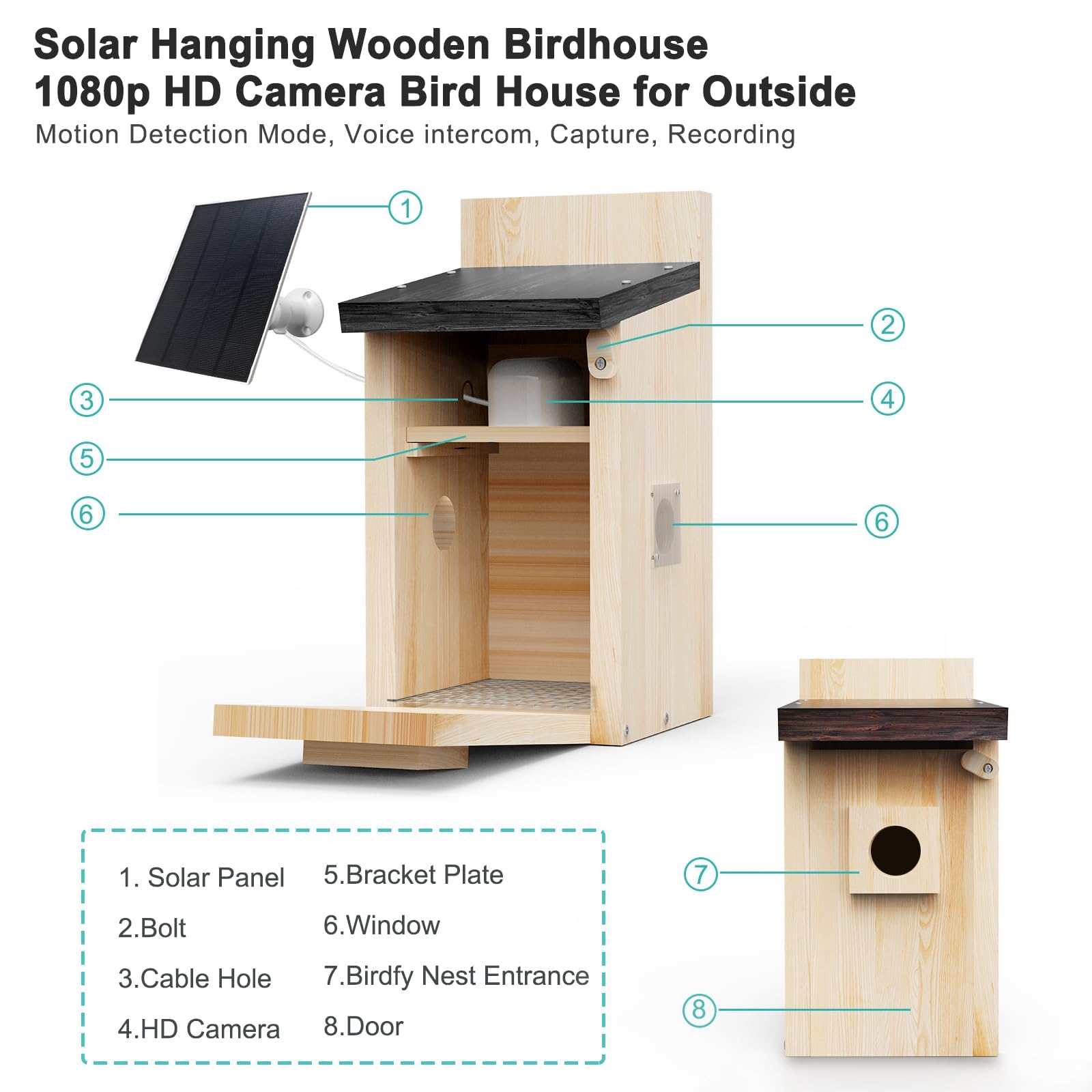 Euphoricca bird house with motion detection auto capture