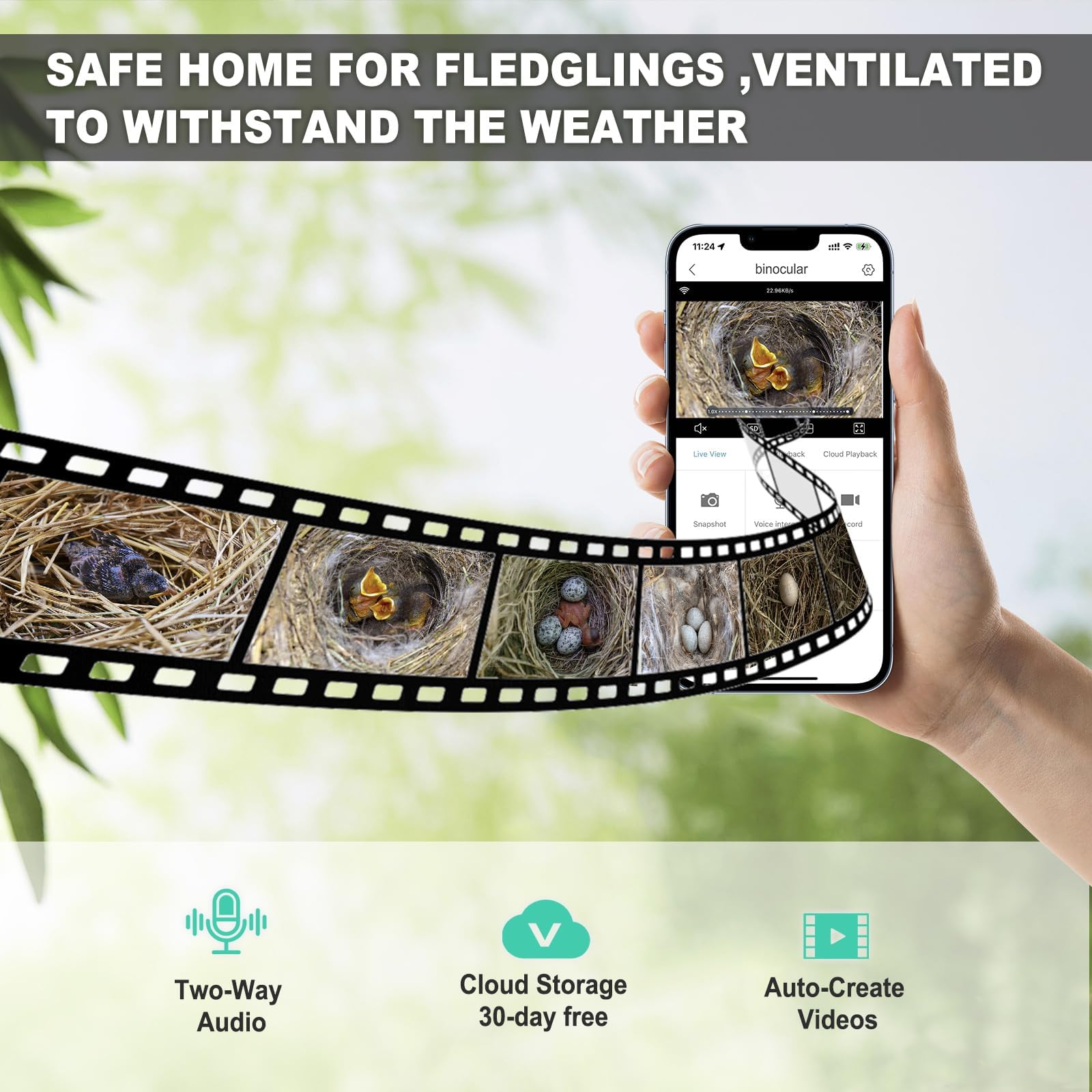 Euphoricca natural wood bird nest material and finish