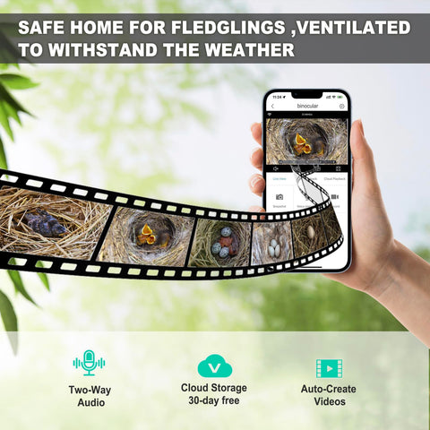 Euphoricca natural wood bird nest material and finish