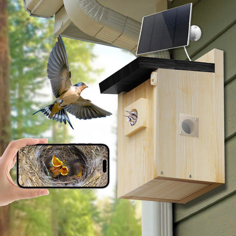 Euphoricca two way audio Bird Box for remote listening
