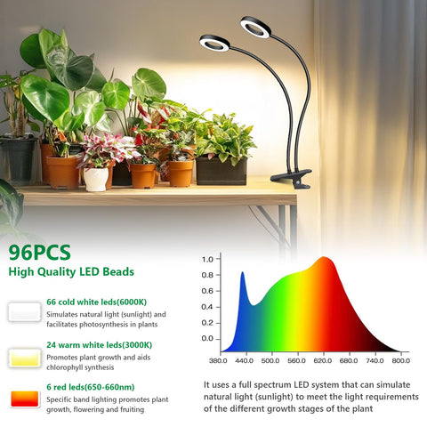 Eurbolan full-spectrum LEDs deliver balanced light for healthy growth