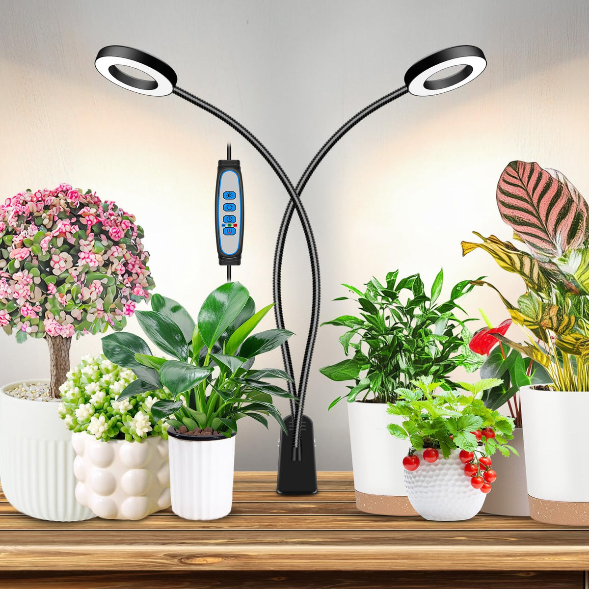 Eurbolan halo grow light clipped on for precise indoor plant illumination