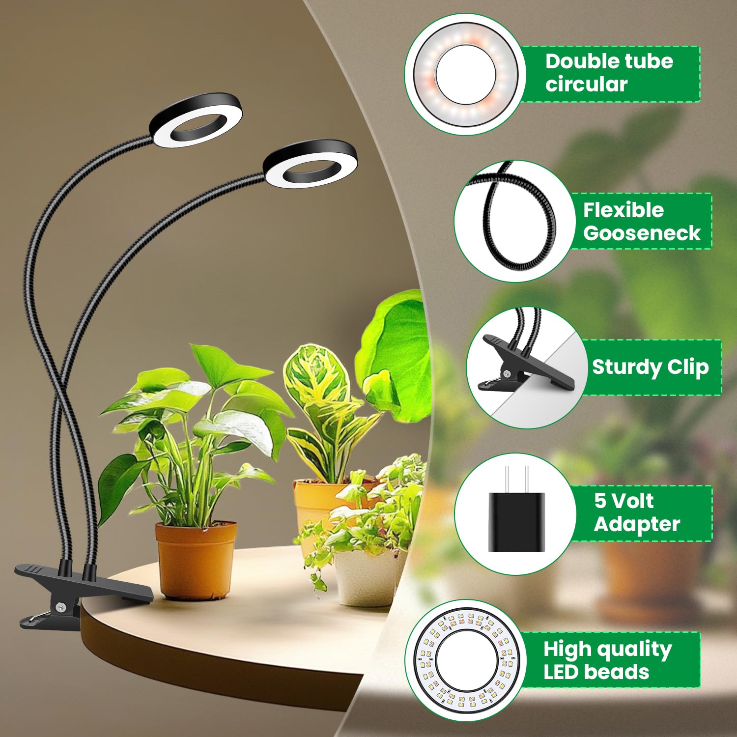 Eurbolan timer-equipped grow light auto cycles to support plants