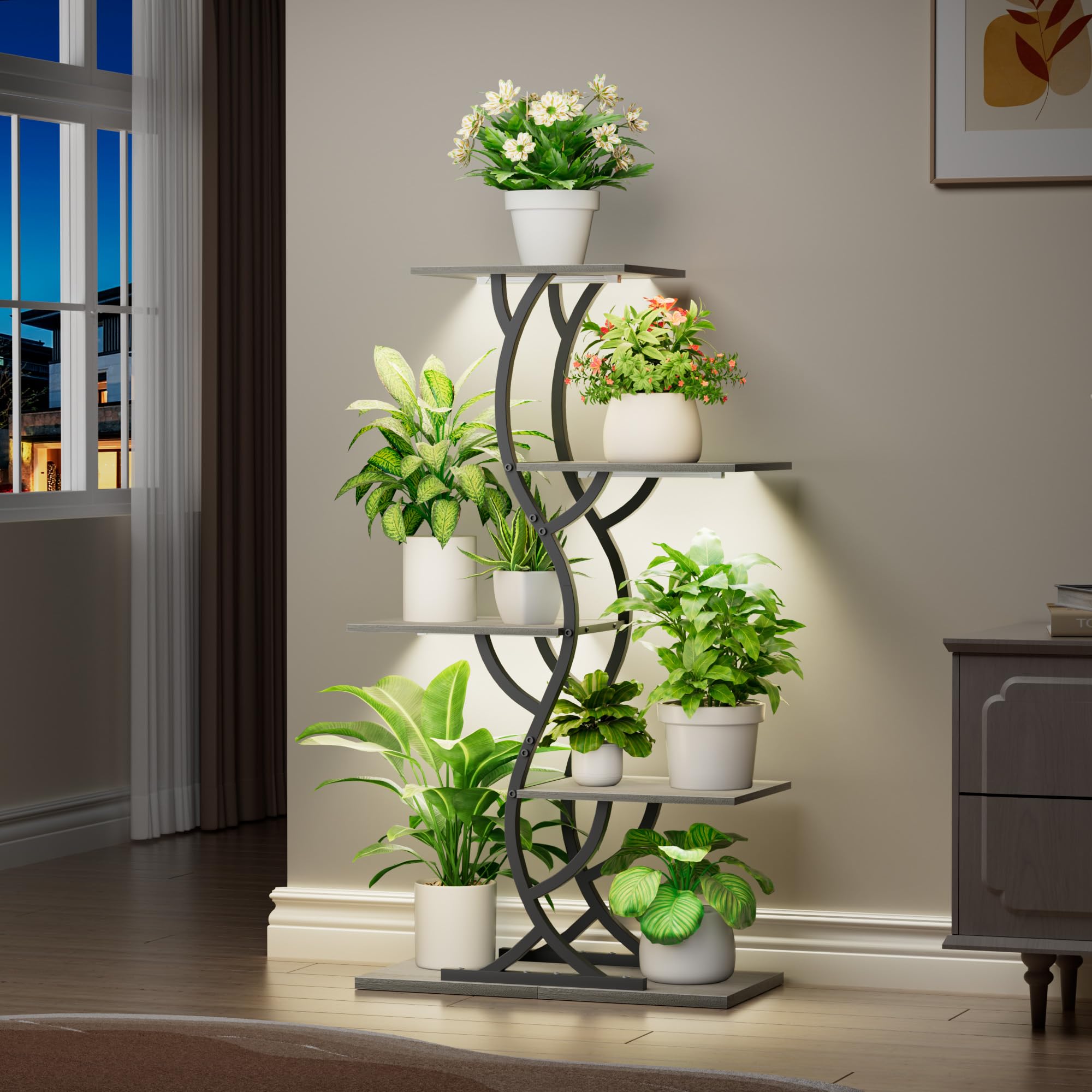 EVAWOO curved design display adds modern flair to home decor