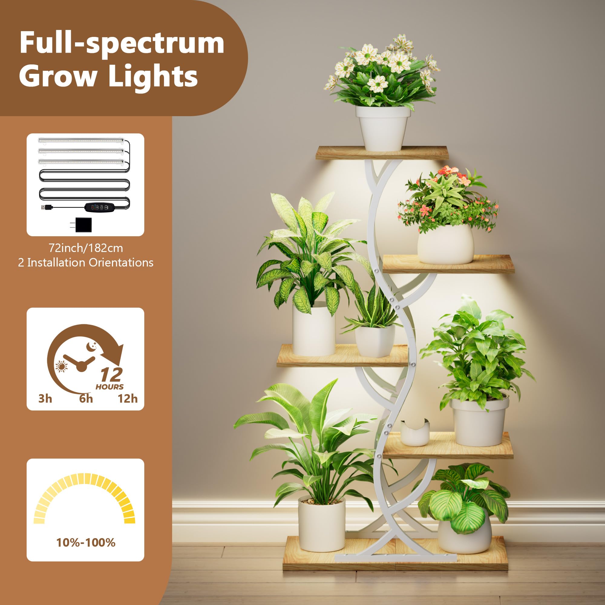 EVAWOO curved plant stand as decorative centerpiece.