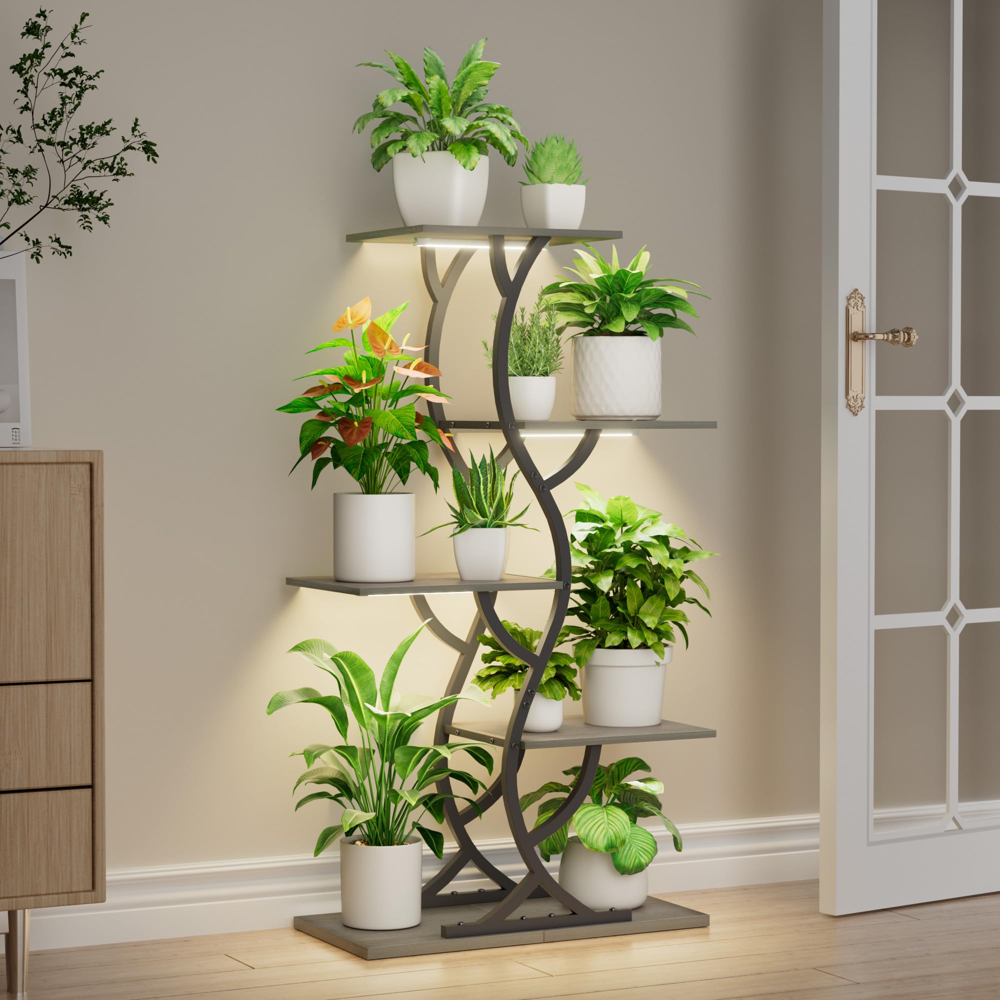 EVAWOO indoor garden setup example with organized plant arrangement