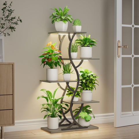 EVAWOO indoor garden setup example with organized plant arrangement