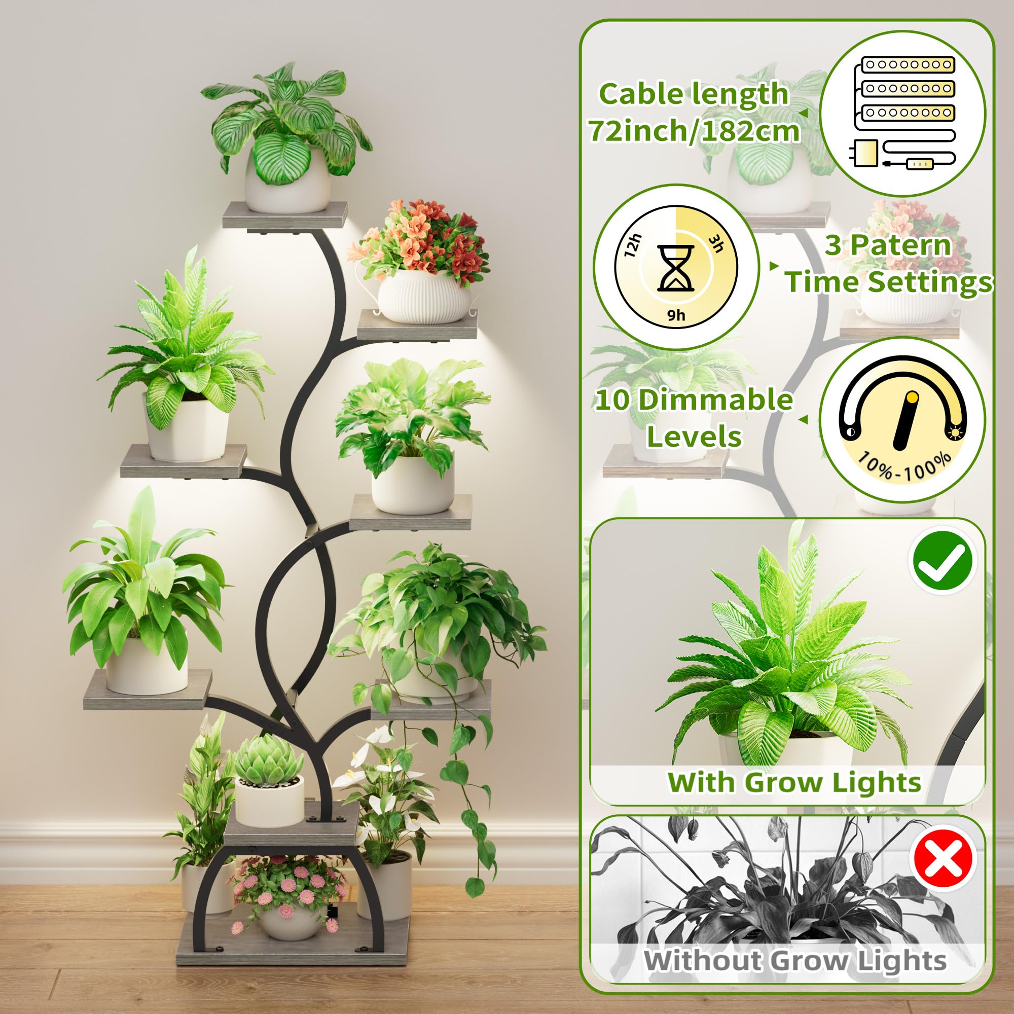 EVAWOO living room corner display adds natural decor