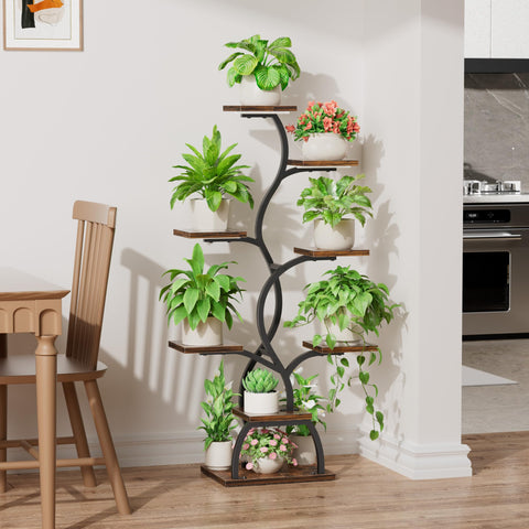 EVAWOO 8-tier indoor shelf demonstrates vertical gardening potential and organized display