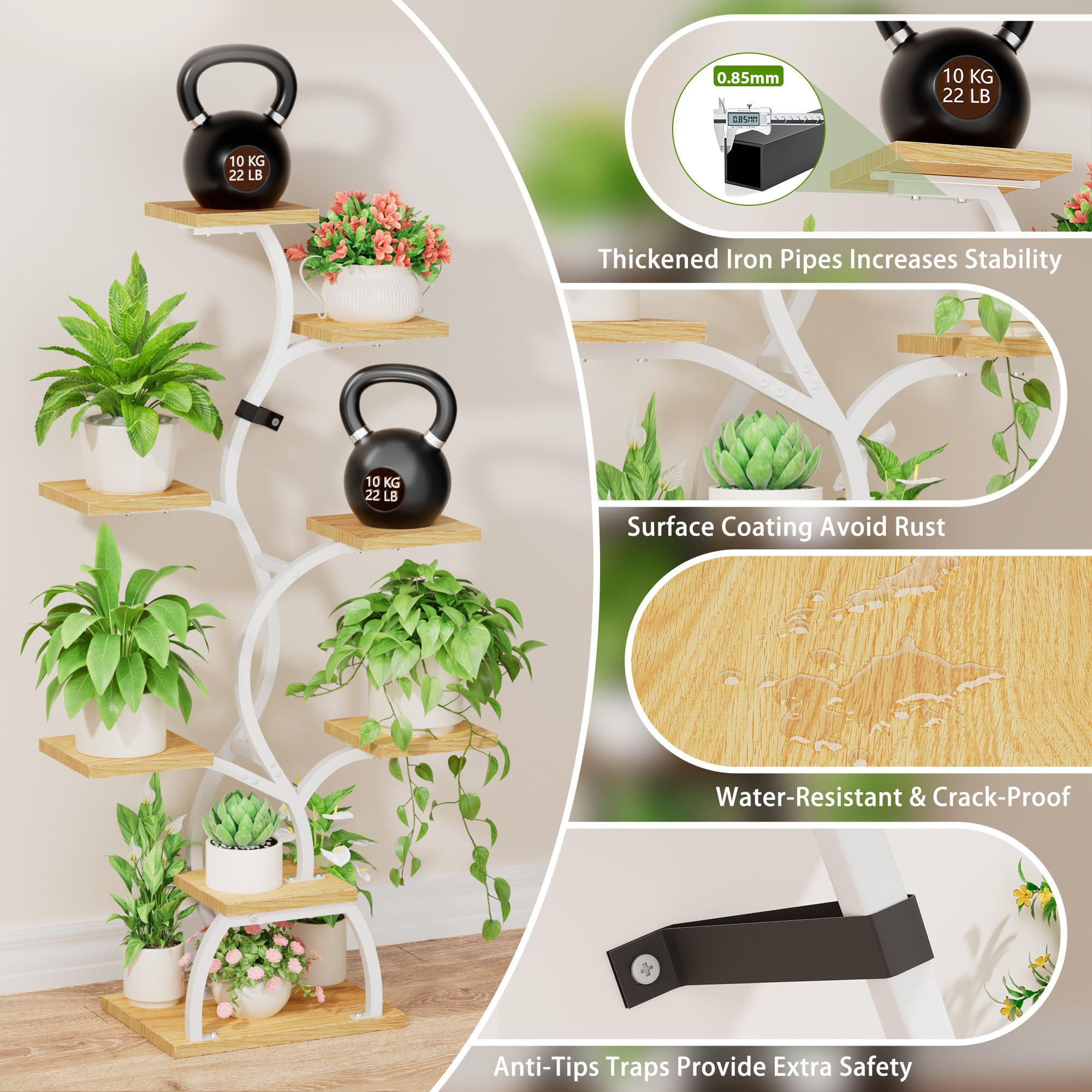 EVAWOO close-up frame highlights robust, rust-resistant construction