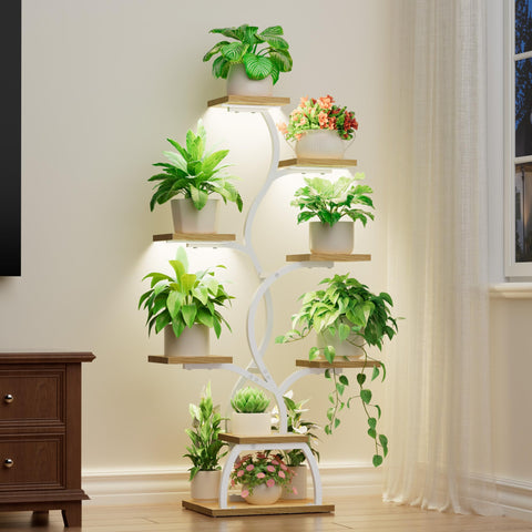 EVAWOO plant stand with grow light, front view, ideal for thriving indoor herbs