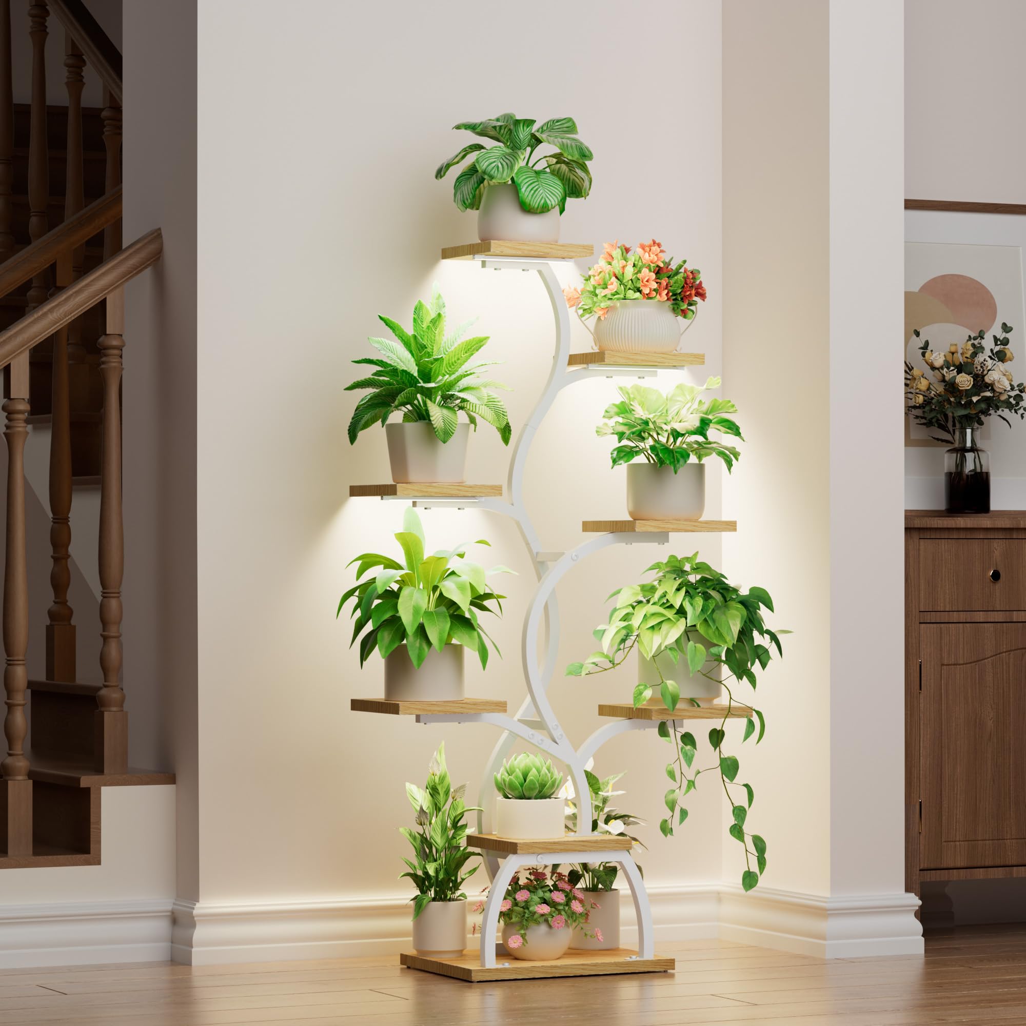 EVAWOO living room display demonstrates stylish plant organization