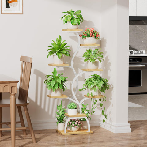 EVAWOO top-angle shot with even light distribution on pots