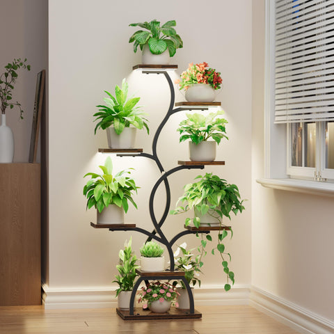 EVAWOO ideal gift for plant lovers who enjoy easy indoor growing