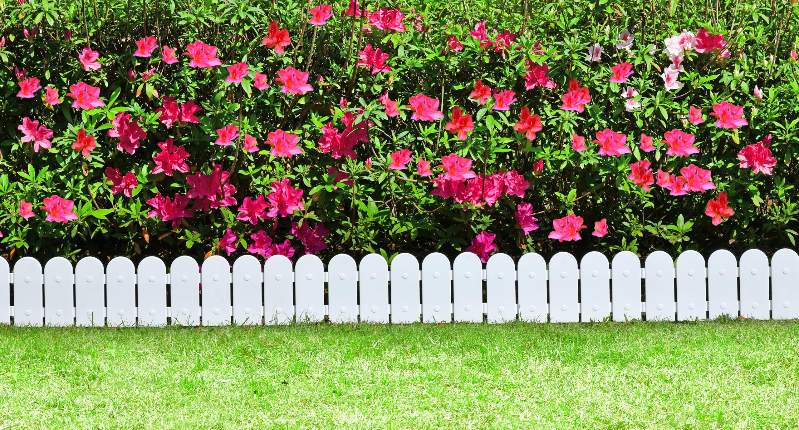 Evelyne arch-design edging enhances curb appeal with decorative boundary lines.