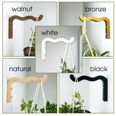 EvenWood walnut finish wall bracket for secure, decorative plant displays.