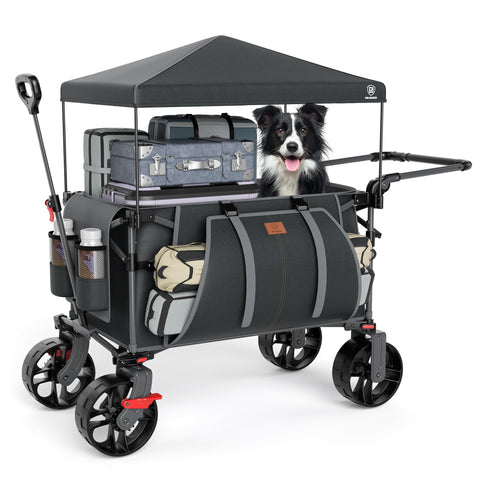 EVER ADVANCED folding push wagon with canopy shows quick canopy setup for sunny outings.