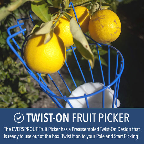 EVERSPROUT Basket diameter 5.6 inches fits multiple fruits