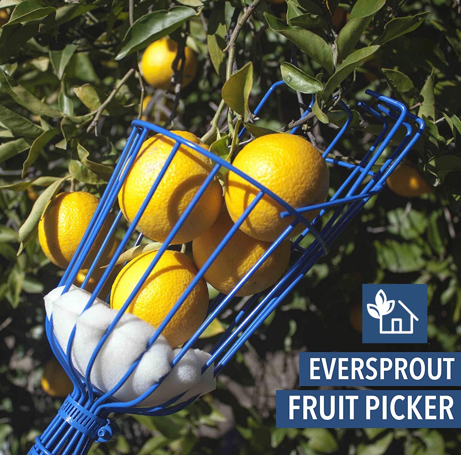 EVERSPROUT Foam cushion protects fruit during picking